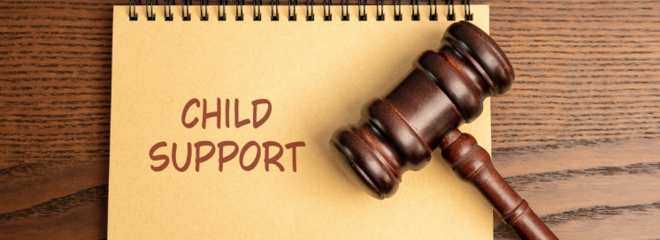 What Is Child Support Supposed to Cover?
